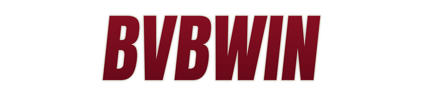 bvbwin